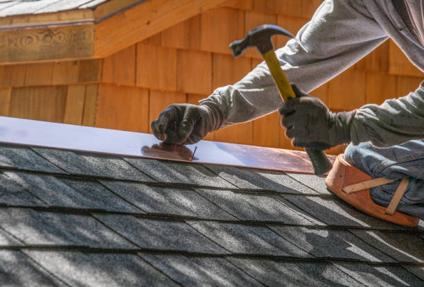 Best Sheet Metal Roofing  in Safford, AZ