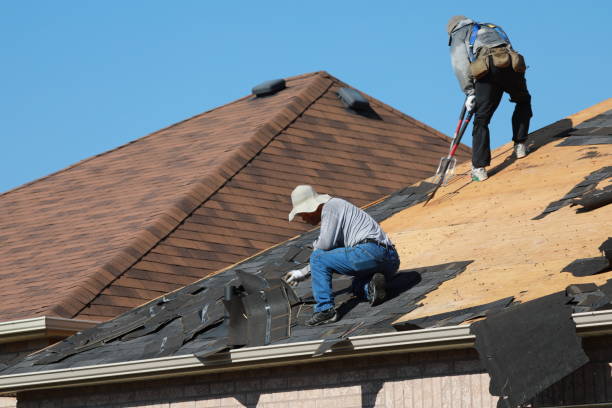 Best Roof Restoration  in Safford, AZ