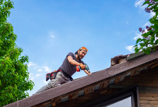 Best Roof Inspection  in Safford, AZ